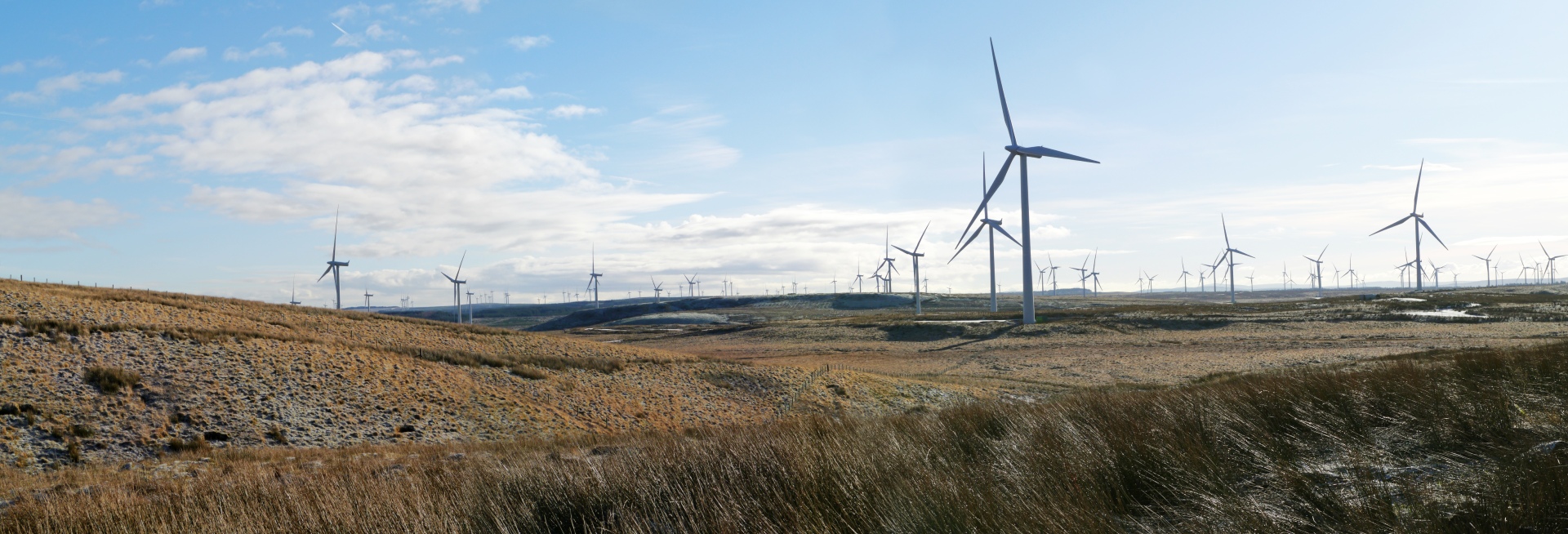 Onshore-Windpark – Windenergieanlagen an Land
